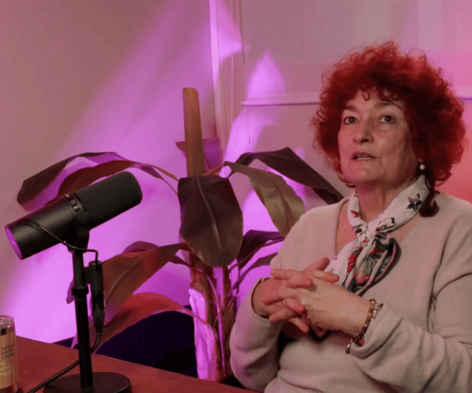 Entrevista Ángels Gallardo